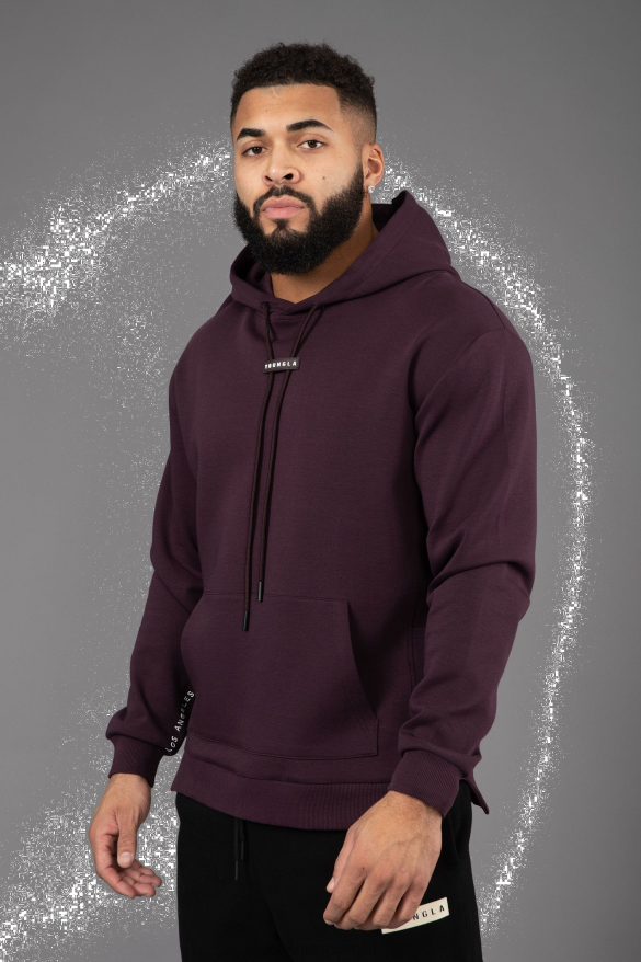 Clothing YoungLA 542 PRO-TECH HOODIES Purple Men 4F2FF786
