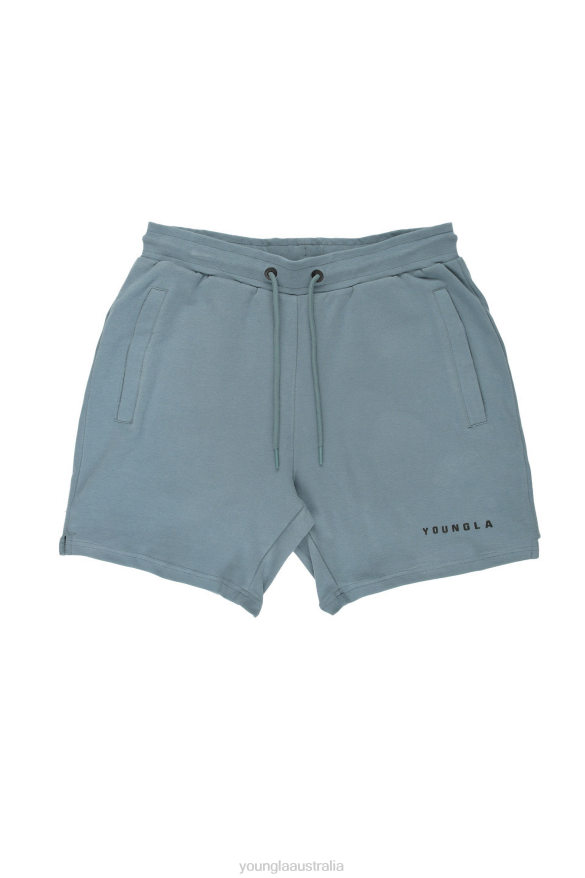 Clothing YoungLA 118 THE PERFECT SHORTS Grey Blue Men 4F2FF555